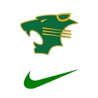 Peoria Panthers FB (@peoriapantherfb) 's Twitter Profile