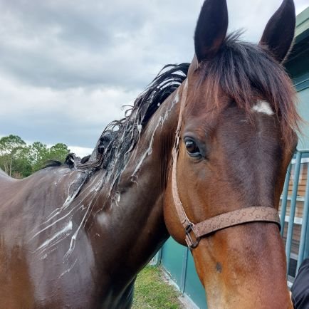 ChristaFlgirl's profile picture. 