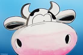 TheFatCow1's profile picture. Aussie Hockeyroo with time to taste and report on the Perth cafe scene. Udderly delicious!