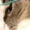 Idk (@idk76822948) 's Twitter Profile
