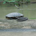 Miriam Reed - @ReedMiriamL - Twitter