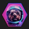 Hex_Artist's profile picture. Hex, Hexican, PLSX. Pulsechain,🇦🇺🎨 Artist, Yorkshire Terriers, Staffies, Family, Friends & Travelling, DIAMONDS HANDS X, world peace and prosperity
