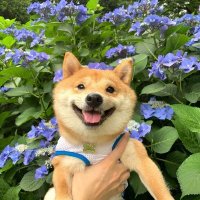 Cassandra Larson (@nkygw27854229) 's Twitter Profile