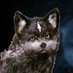 sia@FF7ACコラボまだかな (@siasnow7_games) Twitter profile photo sia@FF7ACコラボまだかな (@siasnow7_games) Twitter profile photo