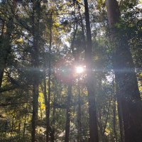 スピードニュース速報まとめ (@syfreeblog) 's Twitter Profile Photo