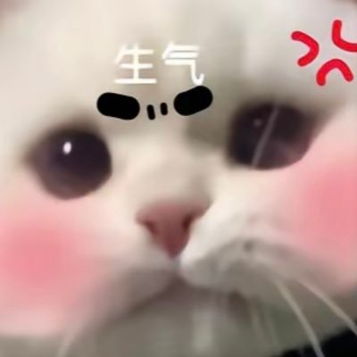 ebYZK7SMUYdWg5k's profile picture. 什么一个傲娇怪