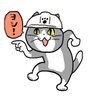 akin1242's profile picture. 