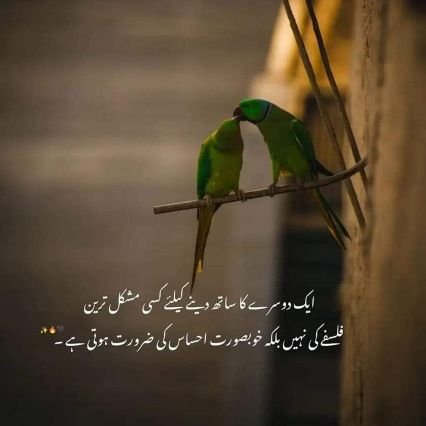 Dilawar4398172's profile picture. 