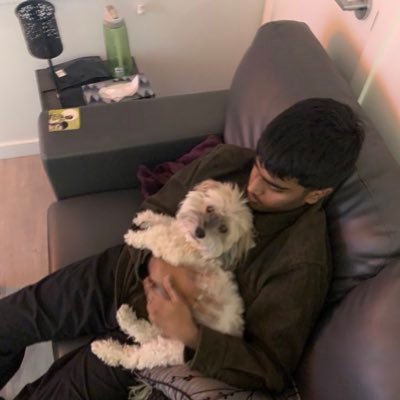 PickleVik's profile picture. Perpetually craving chapati