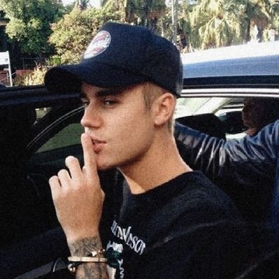 i stan the PRINCE of POP 👑 (justin's defender)                           
stan list = justin/sel/zayn  
fan list = ari/tay/demi