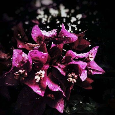 muthumari135212's profile picture. 