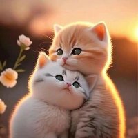 لنا الله ولا غير الله نتوكل عليه (@aboforkana) 's Twitter Profile