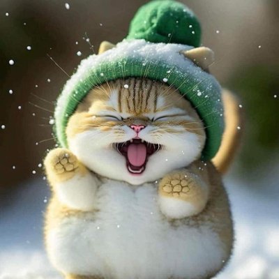 Lucene88's profile picture. Pas de matin sans flemme.