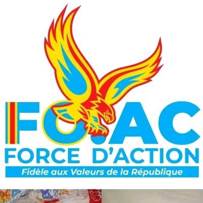 FORCE D'ACTION Profile