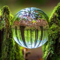 Meredith Dotson 🛸MeredithDotson.lens (L3, ❄️) (@meredithdo31158) 's Twitter Profile
