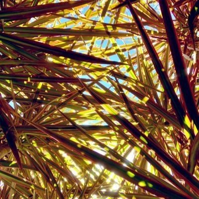 StormCh93622444's profile picture. #NFT #Art #Crypto #Blockchain