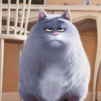 Multum in Parvo (@comitas8) 's Twitter Profile