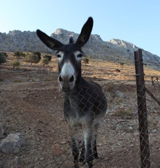 Bonerthornton's profile picture. 