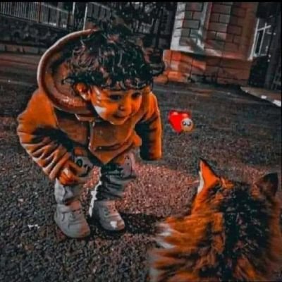 SpoilerYahya's profile picture. 