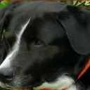 anthony bracken - @antbrac - Twitter