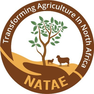 NATAE is a four-year project aiming to foster agroecological transition in North Africa.