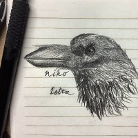 Niko Leitz (@leitzniko) Twitter profile photo