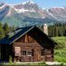 OffGridPrepper (@1offgrid1) Twitter profile photo OffGridPrepper (@1offgrid1) Twitter profile photo