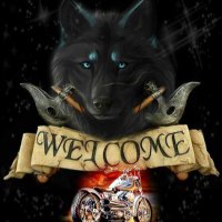 wolf (@yokosuka1973) 's Twitter Profile