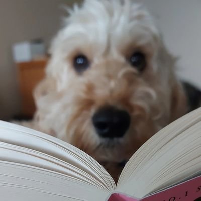 bronamag's profile picture. family friends work sleep. not always in that order.. Full-time Haematology medical scientist, Part-time cake lover.