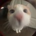 ily (@have_myheart) Twitter profile photo ily (@have_myheart) Twitter profile photo