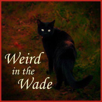 WeirdInTheWade Profile Picture