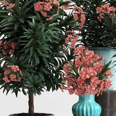 gladyschepku11's profile picture. JESUS IS LORD!
FOLLOW FOR A FOLLOW BACK