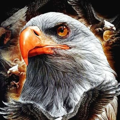 CRUEMANIAC6857's profile picture. diehard music fanatic and 49er fan