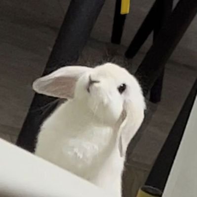 ✿