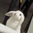 jaijxi_'s profile image