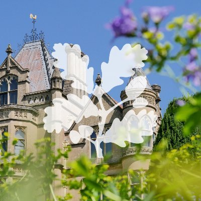 TyntesfieldNT Profile Picture