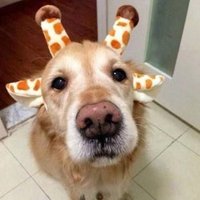 π§π» (@thinkingofpn) 's Twitter Profile