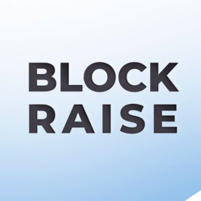 blockraise_vc's profile picture. Blockraise is a #Web3 venture accelerator and Venture Capital investment firm that provides advisory, market making and investment

info@blockraise.io