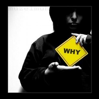 Aldi_ajunk's profile image