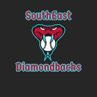 Southeast Diamondbacks (@southeastdiamo1) 's Twitter Profile