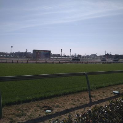 誰にでも平等な競馬が好き。さあ、はんげきだ！