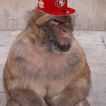 49ersGV Profile Picture