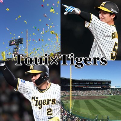 TouixTigers Profile Picture