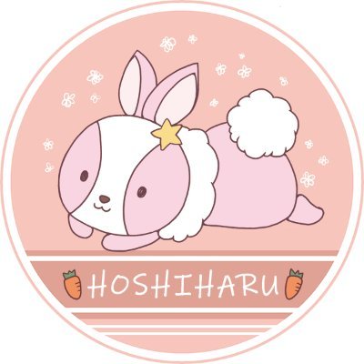 hoshiNOharuchi Profile Picture