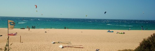 Batsta909's profile picture. 