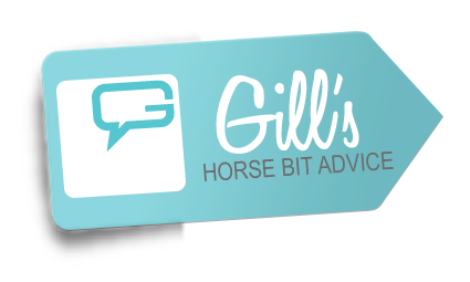 Gill's Fresh Approach...is aimed at getting the best choice of bit for both horse and rider to achieve the best results and peace of mind