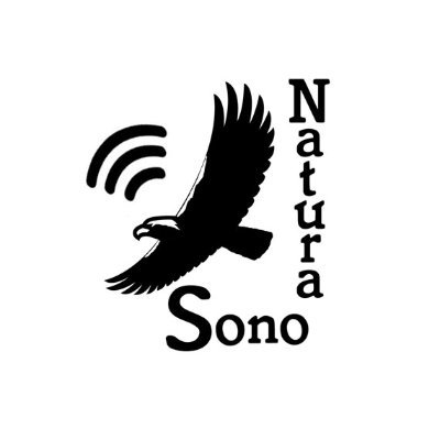 🎶🦉🦊 🐸 🦗Sound. Spanish naturalist interested in wildlife and birds. Recording of nature sounds. Tweets by @avetarda_