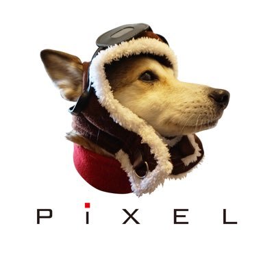 PiXEL(ピクセル)公式さんのプロフィール画像