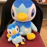 きゃに (@cany_pocha) 's Twitter Profile