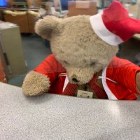 市川市中央図書館・こどもとしょかん【公式】 (@ichikawalibrary) 's Twitter Profile Photo 市川市中央図書館・こどもとしょかん【公式】 (@ichikawalibrary) 's Twitter Profile Photo